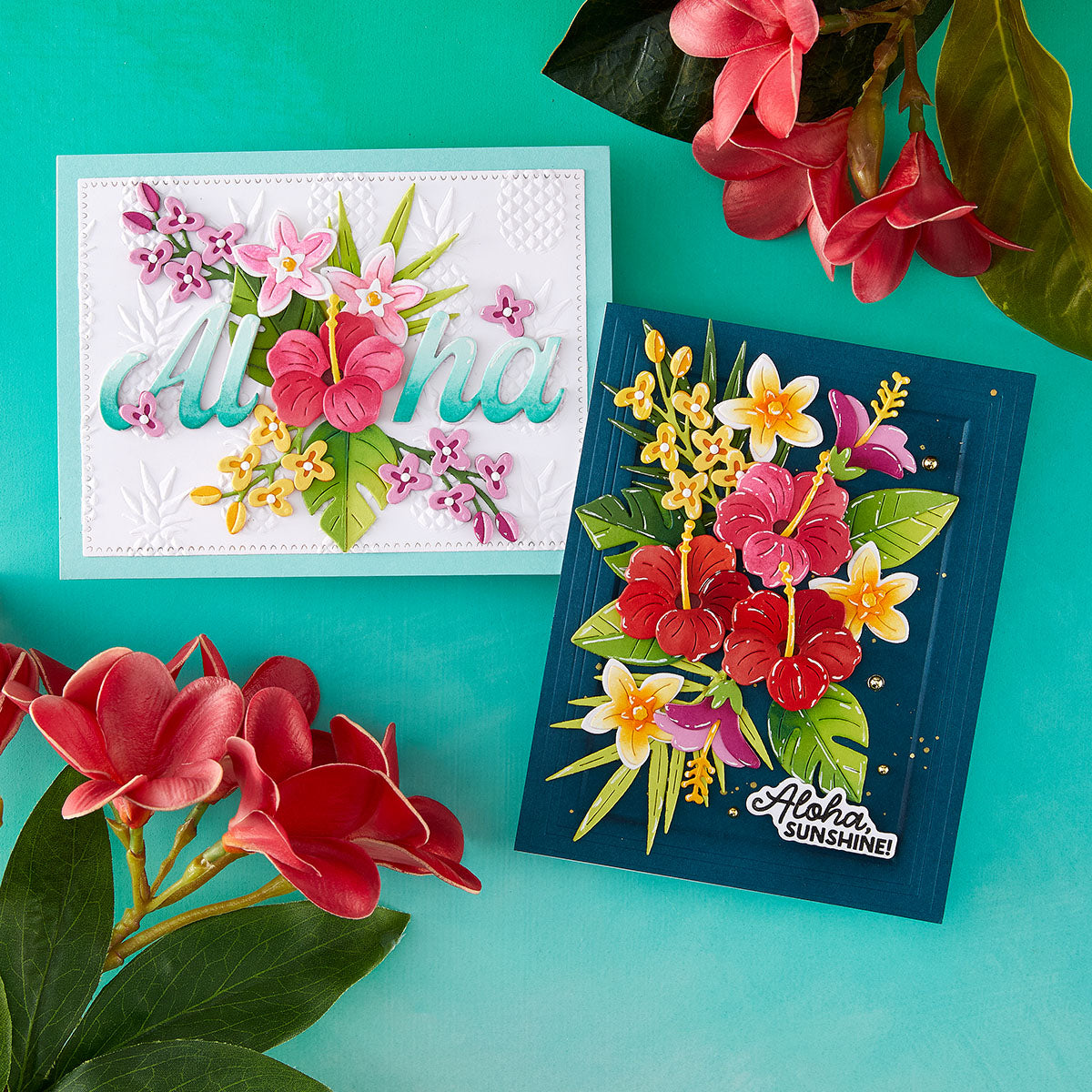 June New Sea Turtle and Tropic - Candle Sachet recensie en prijs