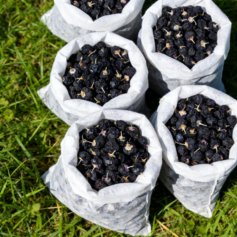 50g-800g High Quality Black Wo - Candle Sachet recensie en prijs